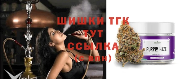 круглые Дегтярск