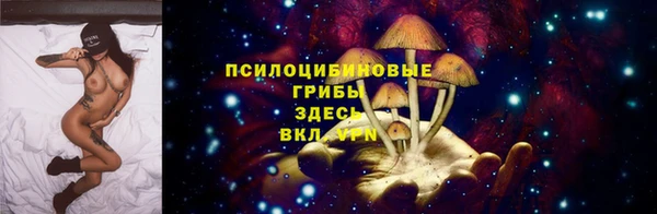 трава Нягань