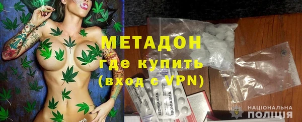 индика Горнозаводск