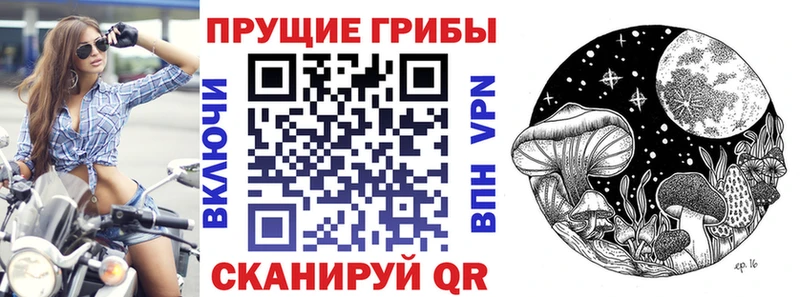 Галлюциногенные грибы Cubensis  где найти   Углегорск 