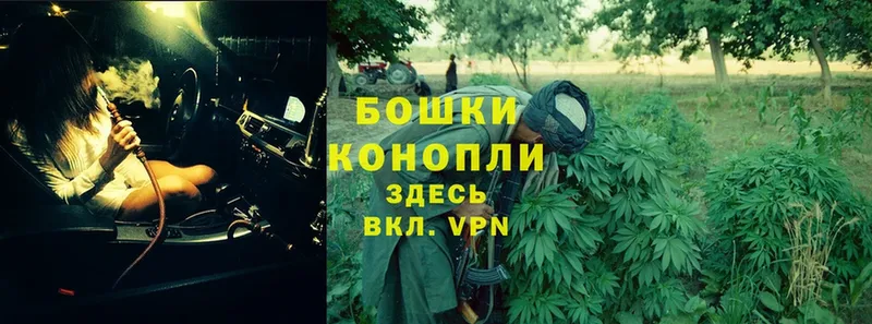 дарк нет состав  omg как войти  Углегорск  Шишки марихуана THC 21% 